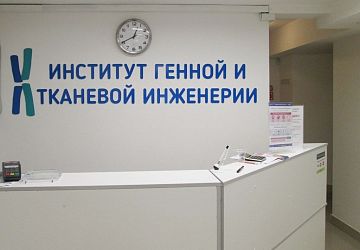 Вывески для магазинов и офисов